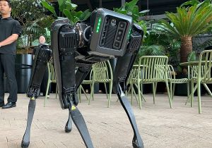 ¿Qué quiere mi robotito bonito?