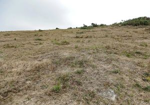 El campo reclama ayudas con urgencia
