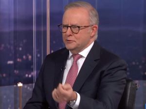 Credlin: Albo, use your melon and clean up your act