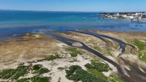 Niedrigwasser: Am Bodenseeufer ist dieser große Sandstrand entstanden