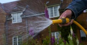 Could Norfolk’s hosepipe ban last until the end of the year?