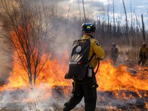 Bjorn Lomborg: We need better fire policy, not climate sermons