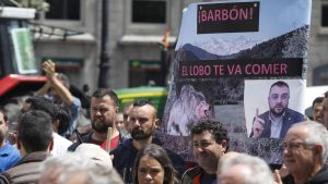 Los ganaderos de Asturias, defraudados con el nuevo programa para reducir la población de lobos: ni gusta el número ni la fórmula elegida