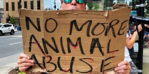 A Top Law Firm Is Suing Animal Activists So That a Restaurant Can Keep Serving Foie Gras