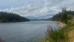 Rhein und Bodensee auf Tiefstand, aber der Schluchsee hat sogar mehr Wasser als 2025 - das ist Grund