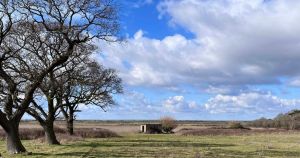 Former railway hut could become rewilding pioneer's rural retreat