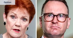 Both major parties are right and wrong in their response to One Nation