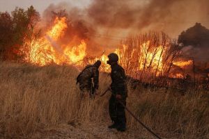 Šumski požari otkrivaju smrtonosno ratno nasljeđe: Bombe i granate stare decenijama ponovo prijete Evropi
