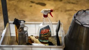 Hvide maddiker på opvaskebord hos slagter: - Jeg har ellers gjort en del