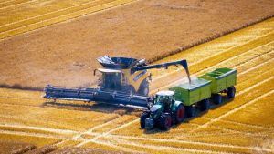 Klimaschutz muss ins Grundgesetz: Das sollte jetzt Kanzler-Sache werden