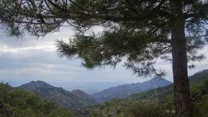 El mundo rural no solo es para veranear