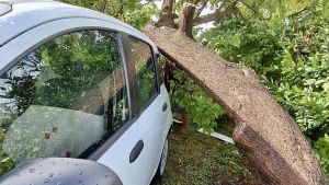 Tromba marina a Sant'Erasmo, l’isola resta devastata: «Ci sentiamo abbandonati»