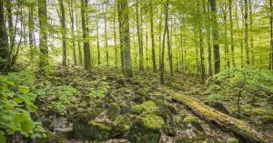 Bergbauamt verweist auf gesetzliche Prüfvorgaben
