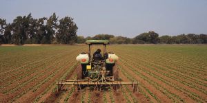 Diarrhea Summer: Brought to You by Trump, Big Ag, and the Climate Crisis