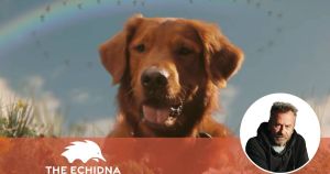 Nothing ruins a spy drama like a dog poo ad