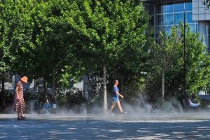 Difendere i boschi per non soffocare tra caldo e cemento