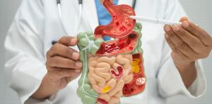 No solo estómago e intestino: tres zonas corporales redescubiertas que cambian cómo entendemos la nutrición