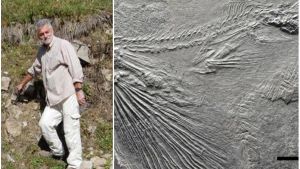 Il pesce volante e le altre creature del Monte Civetta, le “Maldive del Triassico”