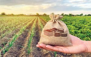 The Political Economy of Soil