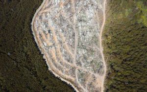 The 80,000 native forest jobs claim doesn’t add up