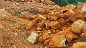 “Insidious dumping is ruining Aarey forest”