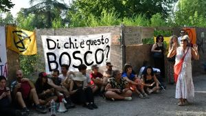 Il professore a difesa del bosco: 