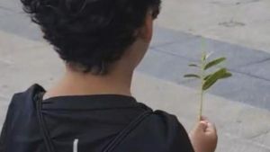 Me quiere, no me quiere