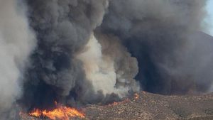 Vivir cien años en un planeta que arde