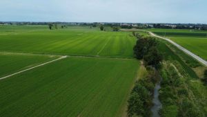 Bastida, stop al maxi agrivoltaico