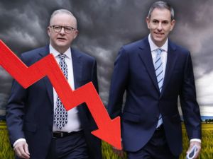 Hadley: ‘Nincompoops’ Albo and Chalmers sending us down the gurgler