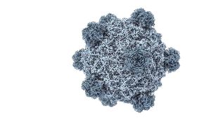 Cursar bioterrorismo online