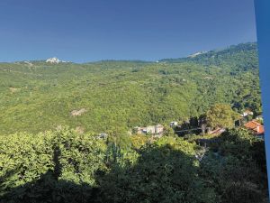 Γιούσουρι, Σκιάθος, Λεχαινά και 6.000 πρόβατα στη Δράκεια