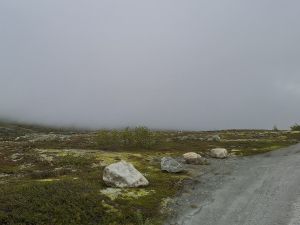 – Steintulle i fjello våre