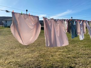 LESA ON LIFE: Clotheslines I have known