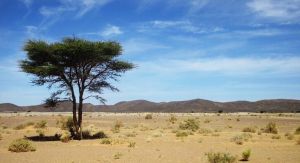 Il Marocco come porta di accesso del Sahel all’Atlantico