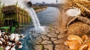 Exporting Water, Importing Bread: From Food Security To Economic Espionage
