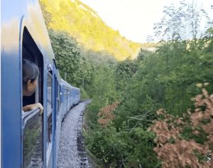Nova turistička ponuda: Voz koji povezuje Bihać i Bosansku Krupu već koristilo 10.500 putnika