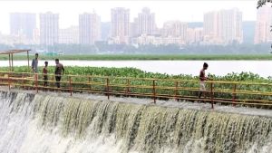 Seven Mumbai lakes at 95.53% capacity: Is city’s water shortage now over?