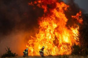 Los incendios no dan tregua. ¿ Por qué?