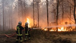 Požari u Bosni i Hercegovini na području Trebinja, Nevesinja i Trebevića
