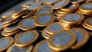 Socialização das Perdas em Esqueleto Financeiro