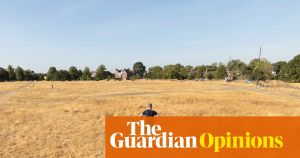 Our climate is changing rapidly – and our politicians sound increasingly surreal