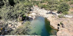 Comment la pollution de l’eau peut modifier les maladies parasitaires qui nous affectent