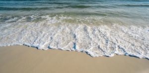 Cuidar nuestros bienes comunes: hacia una nueva cultura medioambiental y científica de la playa