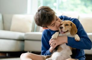 The real reason why you should always pet your dog before leaving the house