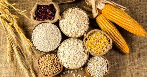 El CIMMYT, México y el futuro del maíz y el trigo. Ciencia, diplomacia y mercados en un momento decisivo