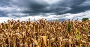 Klimaschutz und Wirtschaftswachstum zusammen denken