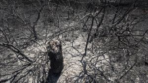 Los conservadores también tienen miedo