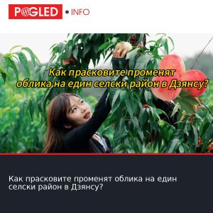 Как прасковите променят облика на един селски район в Дзянсу?