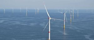 Blue State’s Green Energy Push Threatens Iconic ‘Sacred’ Food Source
